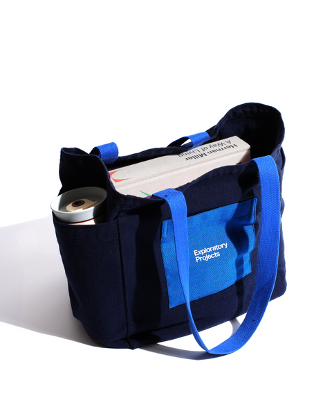 Exploratory Projects TOTE - BLUE