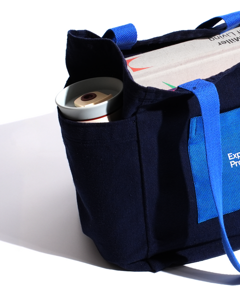 Exploratory Projects TOTE - BLUE